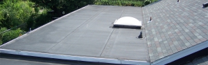 New Shingle Flat Roof
